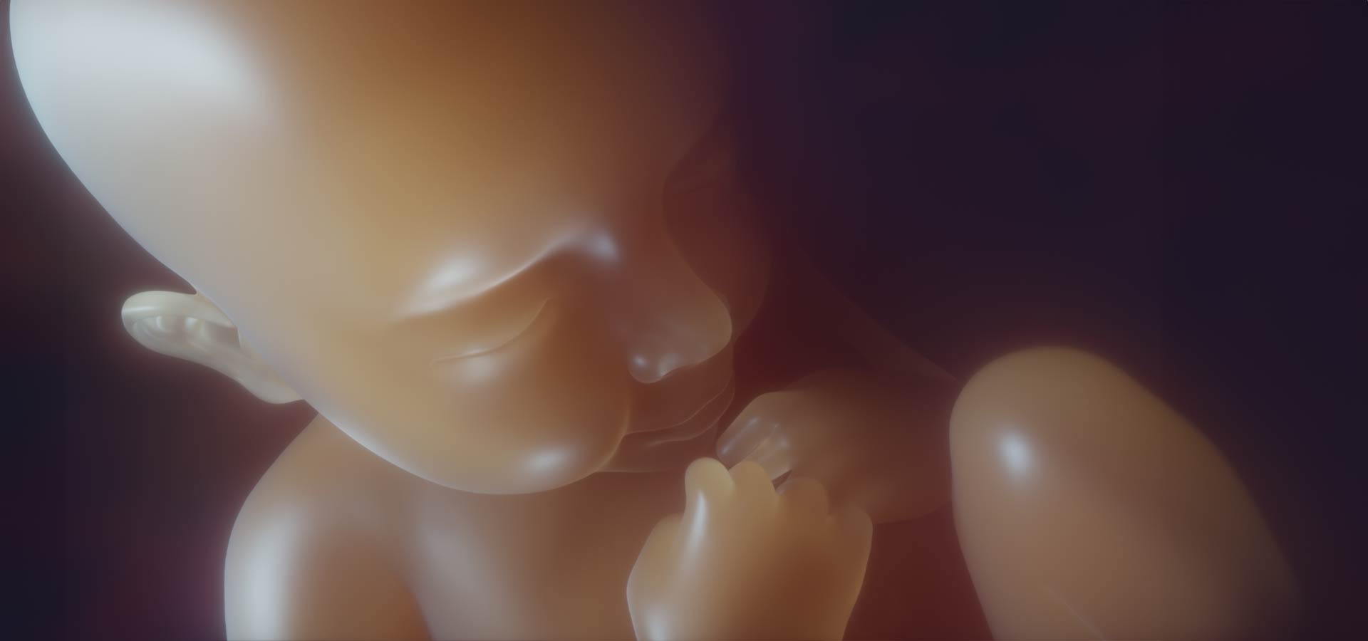 Μια Νέα Ζωή Αρχίζει