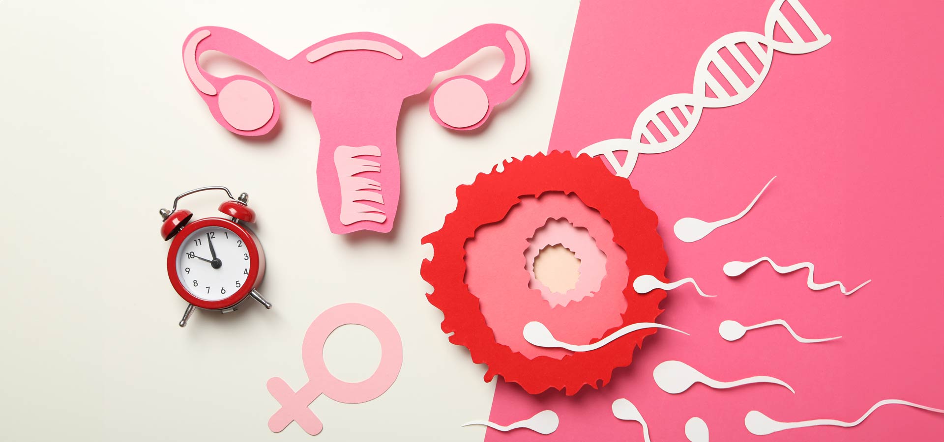 Οδηγίες πριν τη σύλληψη