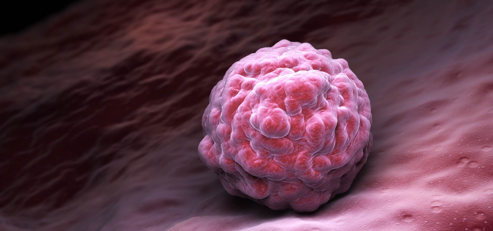 Βλαστοκύτταρα